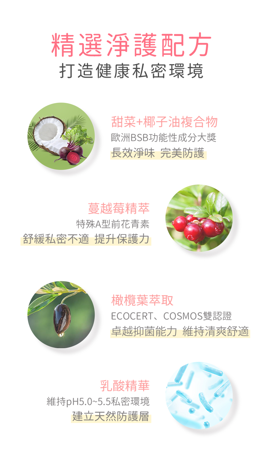 BHKs紅萃私密潔淨慕斯採用天然植萃配方,蔓越莓、橄欖葉、乳酸菌,提升私密肌抵抗力。