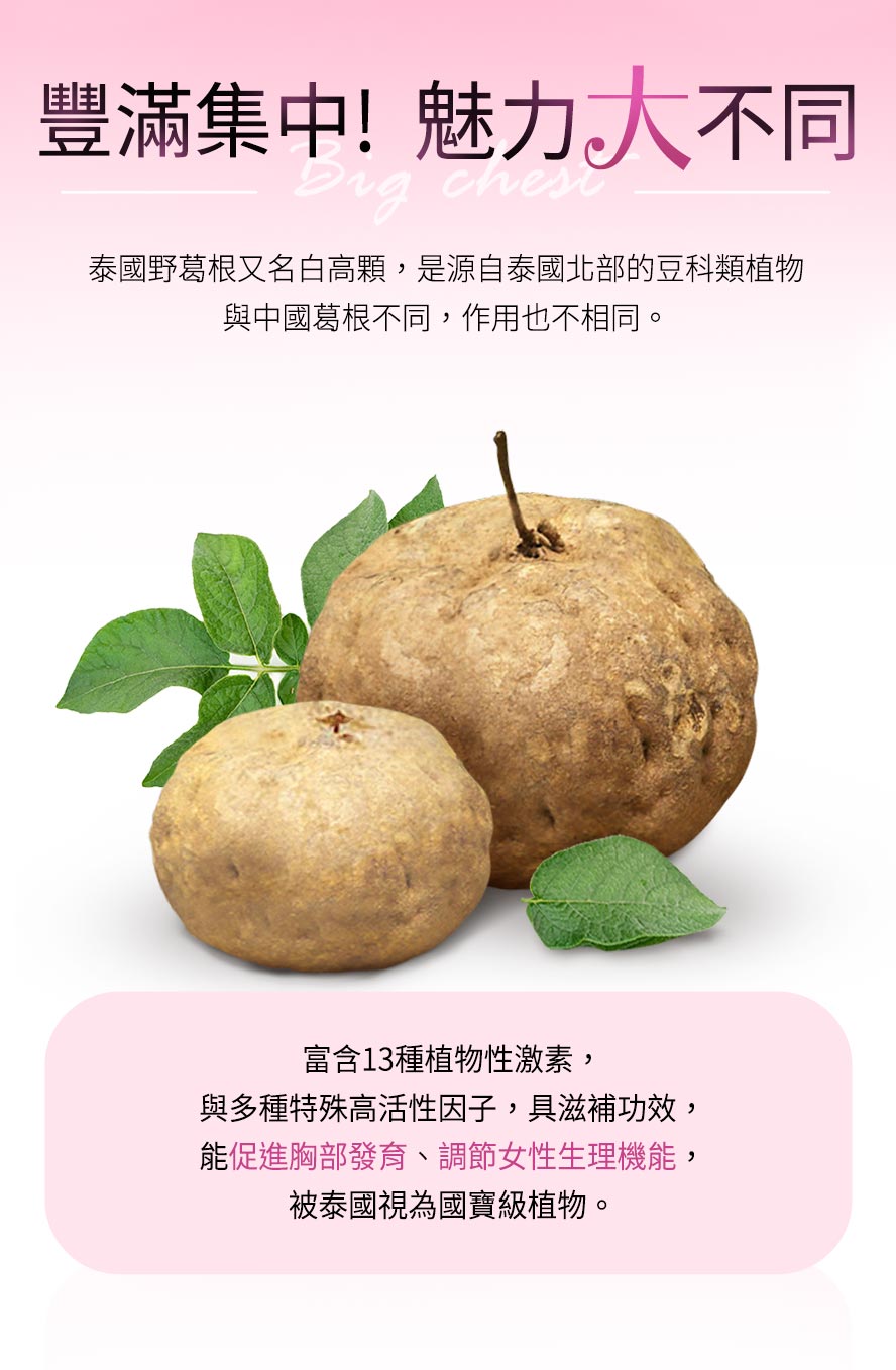 泰國野葛根又名白高顆,與中國葛根的作用不同,含13種植物性雌激素、高活性因子,可以有效刺激乳房二度發育,幫助罩杯升級。