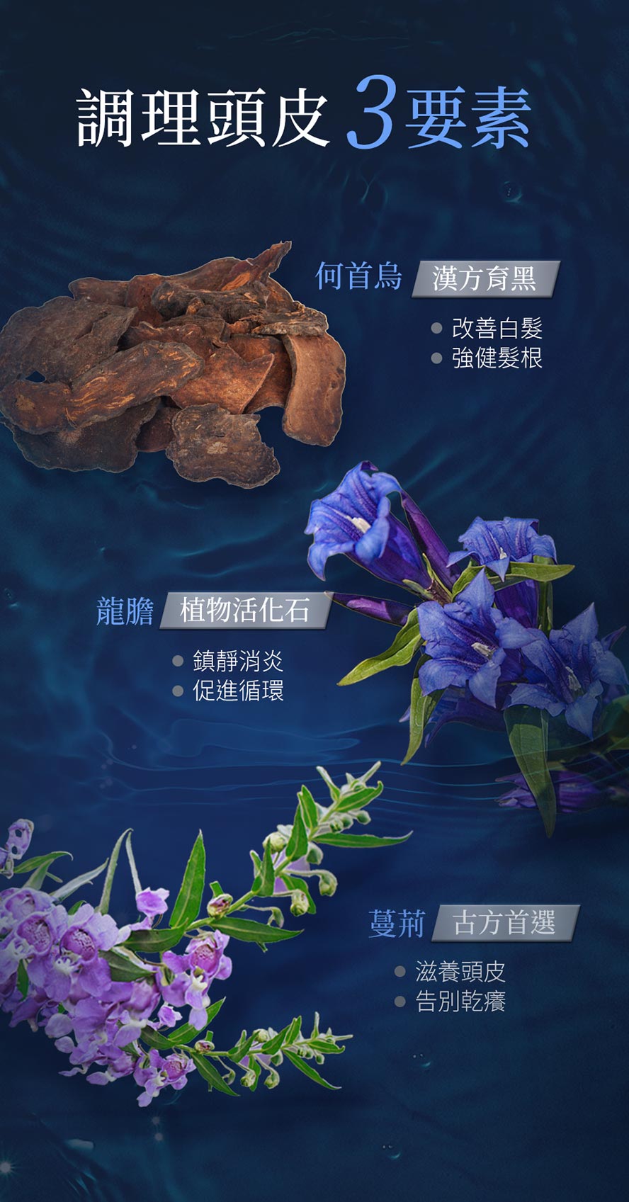 BHK喚黑養髮液，複方調理植萃，恢復光澤、強健髮根，減少白髮、促進循環、滋潤頭皮。
