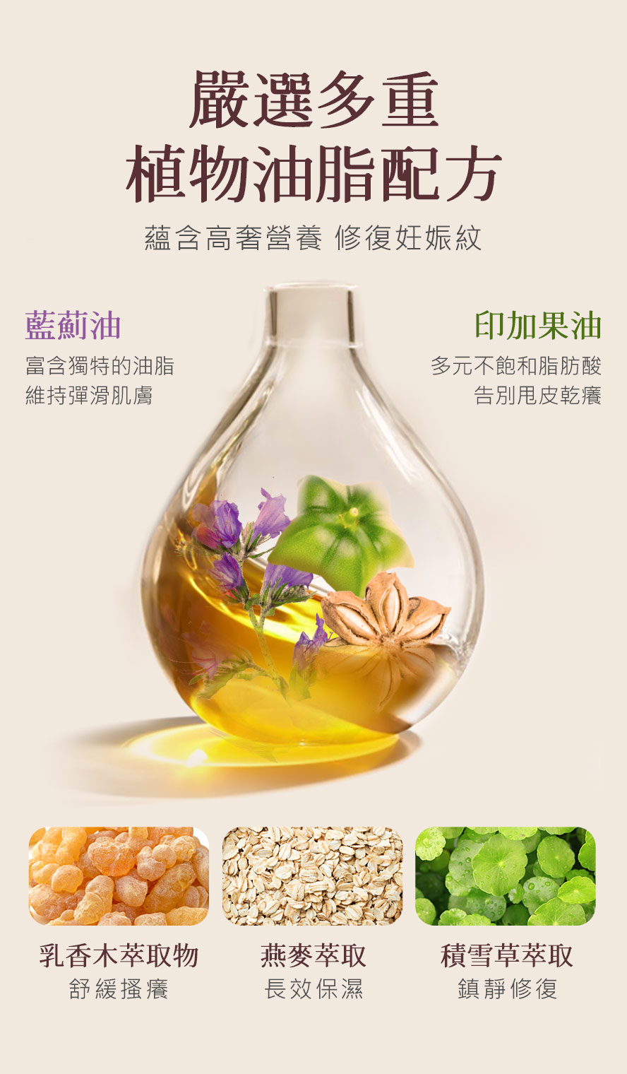 BHK撫紋霜添加藍蓟油、印加果油、乳香木、燕麥、乳木果,富含多元不飽和脂肪酸,強化肌膚屏障、預防紋路。